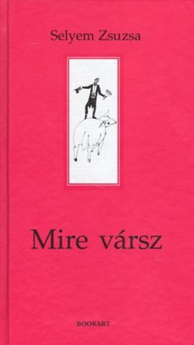 Selyem Zsuzsa - Mire vársz