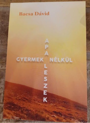 Bacsa Dvid - Apa leszek gyermek nlkl