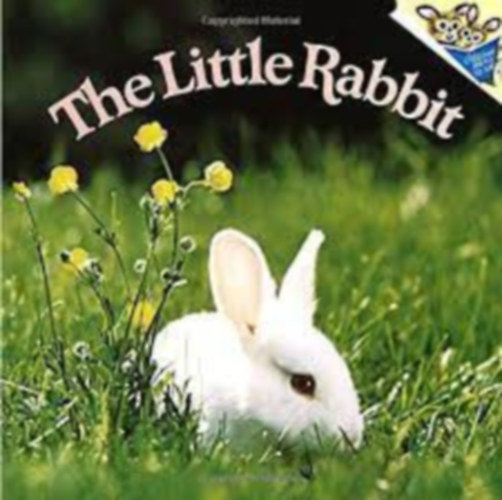 Judy Dunn - The Little Rabbit