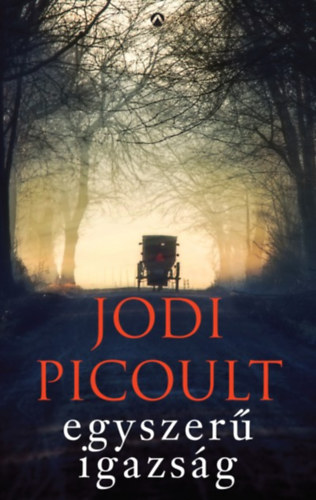 Jodi Picoult - Egyszer igazsg