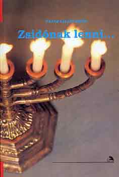 Hayim Halevy Donin - Zsidónak lenni...