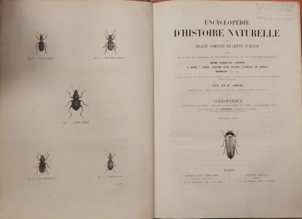 Gustave Havard - Enciclopdie  D'historie Naturelle - Termszetrajzi enciklopdia - Rovartan francia nyelven