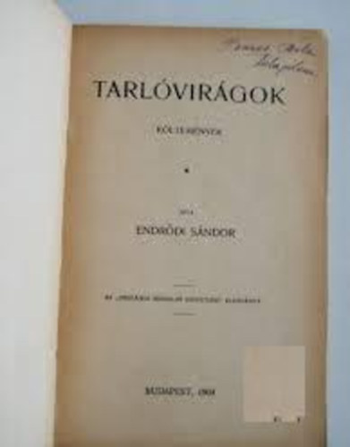 Endrődi Sándor - Tarlóvirágok