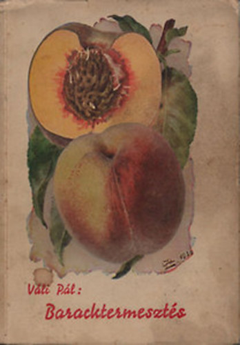 V�li P�l - Baracktermeszt�s