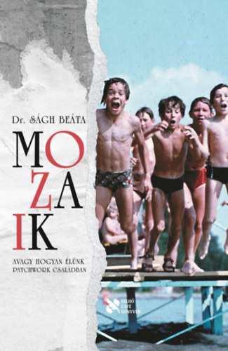 Dr. S�gh Be�ta - Mozaik
