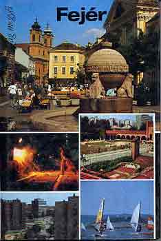 Sud�r -Gyenes -Csapl�r - Fej�r (Magyarorsz�g megy�i)