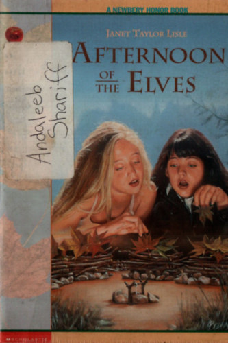 Janet Taylor Lisle - Afternoon of the Elves.