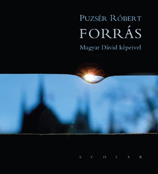 Puzsér Róbert - Forrás