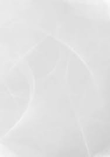 Üzemanyagok kenéstechnikai alapismeretek