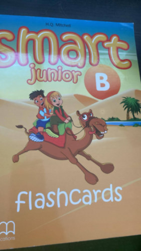 H. Q. Mitchell - Smart Junior B - Flashcards