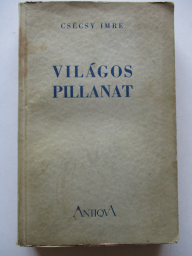 CSécsy Imre - Világos pillanat