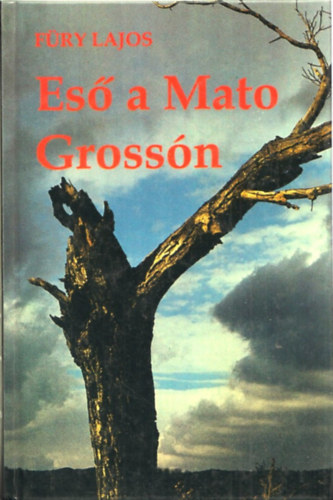 F�ry Lajos - Es� a Mato Gross�n