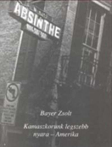 Bayer Zsolt - Kamaszkorunk legszebb nyara - Amerika