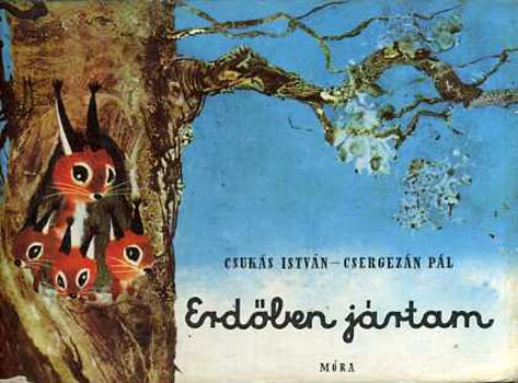 Csuk�s-Csergez�n - Erd�ben j�rtam