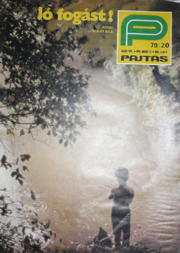 Somos �gnes  (szerk.) - Pajt�s XXXIV. �vfolyam 20. sz�m