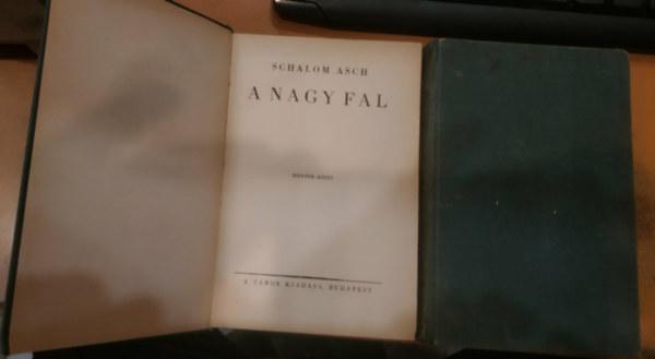 Schalom Asch - A nagy fal I-II.