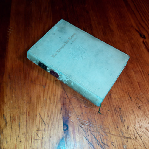 Wilhelm Meyer - Die Königin des Tages und ihre familie