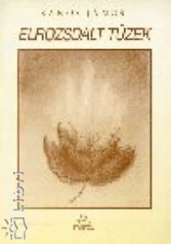 Banos J�nos - Elrozsd�lt t�zek