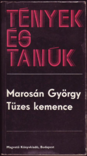 Marosn Gyrgy - Tzes kemence (Tnyek s tank)