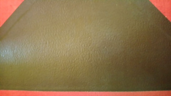 Vicki Baum - Dent Oliv�r