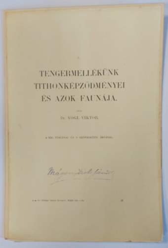 Dr. Vogl Viktor - Tengermellknk tithonkpzdmnyei s azok faunja - 1915