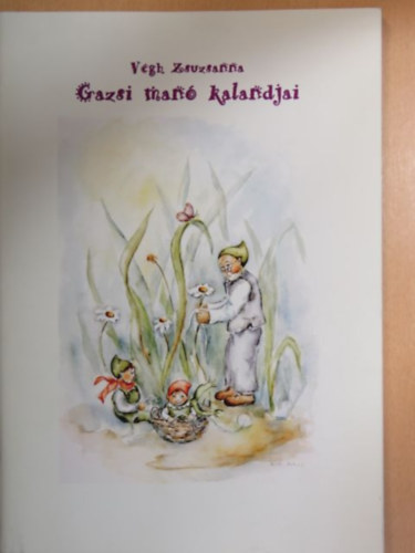 Vgh Zsuzsanna - Gazsi man kalandjai