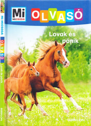 Christina Braun - Lovak �s p�nik (Mi Micsoda Olvas�)