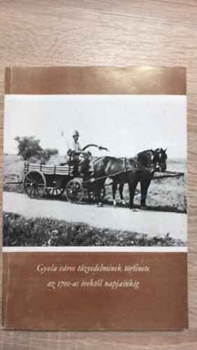 Dr. Máray György, Szöllősi Pál D. Nagy András - Gyula város tűzvédelmének története az 1700-as évektől napjainkig