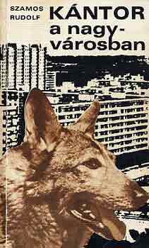 Szamos Rudolf - K�ntor a nagyv�rosban