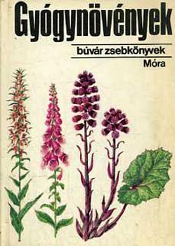 Isépy István Dr. - Gyógynövények (Búvár zsebkönyvek)