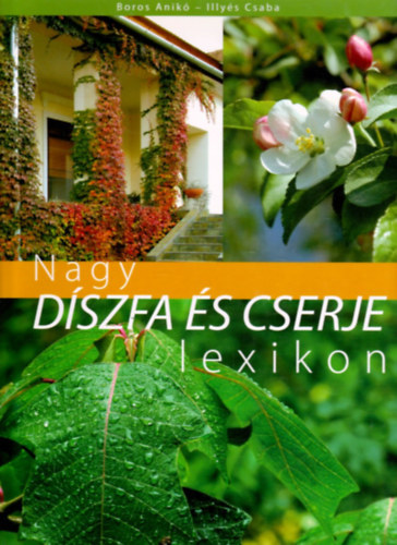 Boros Anik; Illys Csaba - Nagy dszfa s cserje lexikon