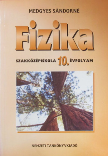 Medgyes Sndorn - Fizika 10. vfolyam szakkzpiskola