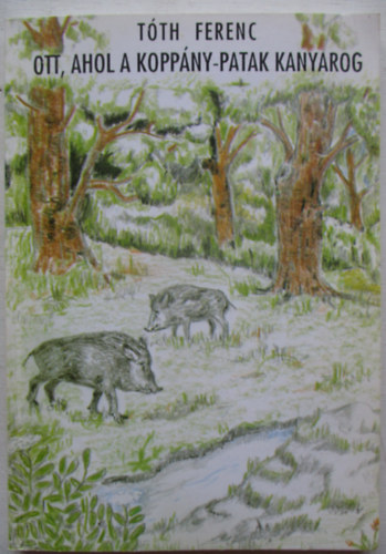 T�th Ferenc - Ott, ahol a Kopp�ny-patak kanyarog