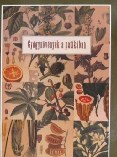 Szarvash�zi Judit Dr.  (szerk.) - Gy�gyn�v�nyek a patik�ban