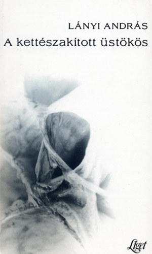 L�nyi Andr�s - A kett�szak�tott �st�k�s