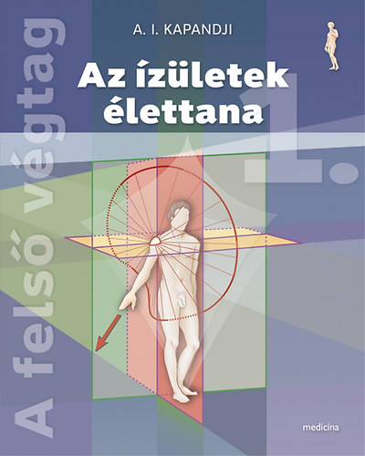A.I. Kapandji - Az zletek lettana 1-3. (6. kiads)