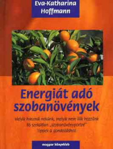 Irmgard Brottrager - Energit ad szobanvnyek