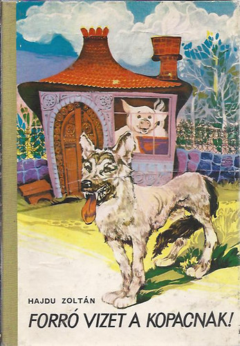 Hajdu Zoltn - Forr vizet a kopacnak!