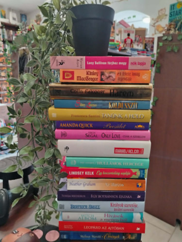 Marian Keyes; Kinley MacGregor; Colin Falconer; Sidney Lawrence; Francesca Santini; Amanda Quick; Erich Segal; Katherine Stone; Pat Conroy; Lindsey Kelk; Heather Graham; Teresa Medeiros; Bertrice Smal - ---