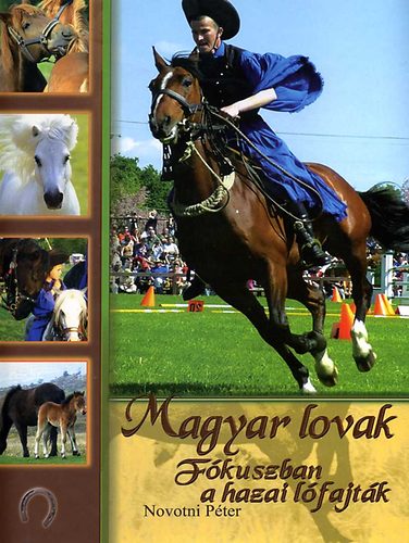 Novotni P�ter - Magyar lovak - f�kuszban a hazai l�fajt�k