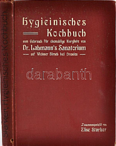 Elise Starker - Hygieinisches Kochbuch zum Gebrauch für ehemalige Curgäste