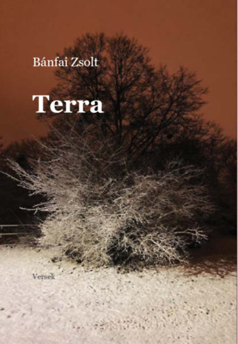 Bnfai Zsolt - Terra