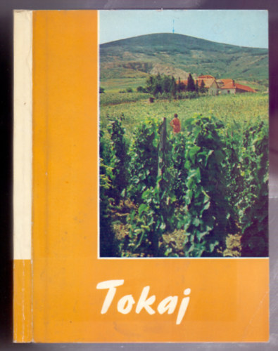 T�zsa Istv�n  (szerk.) - Tokaj (2., �tdolgozott kiad�s, k�peslap mell�klettel)