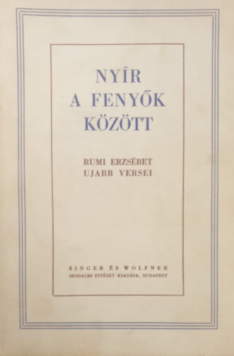 Nyír a fenyők között