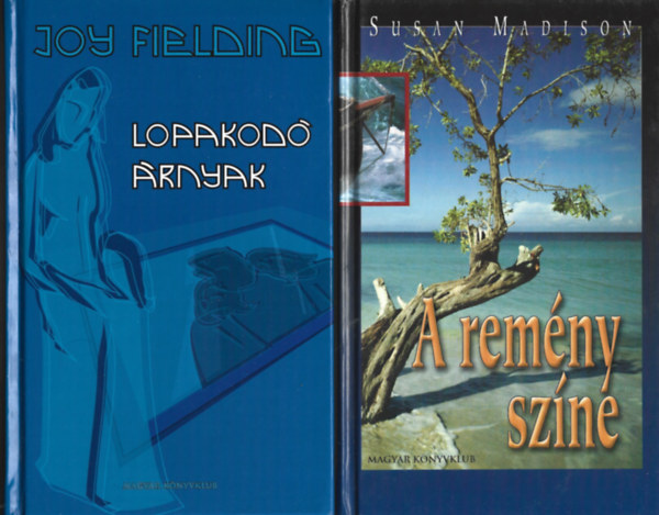 2 db knyv, Joy Fielding: Lopakod rnyak, Susan Madison: A remny szne