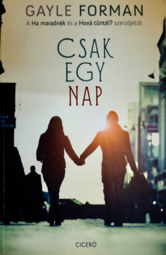 Gayle Forman - Csak egy nap