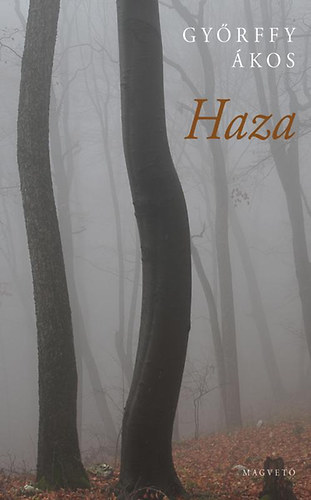 Győrffy Ákos - Haza