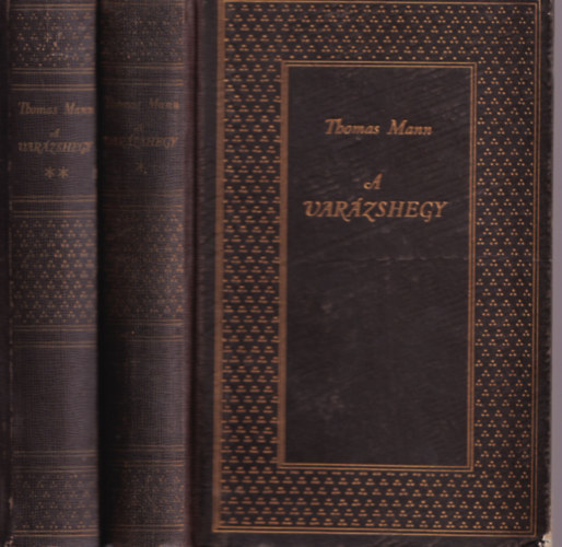 Thomas Mann - A varázshegy I-II.