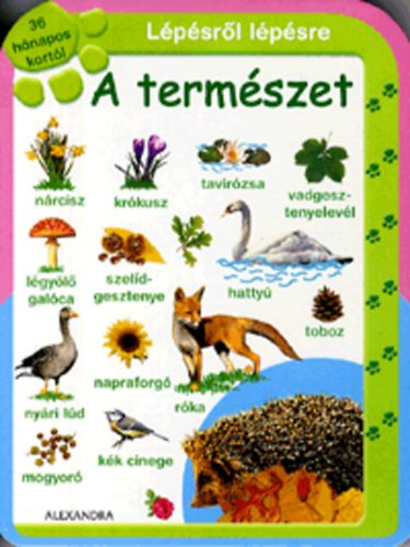 A termszet - Lpsrl lpsre