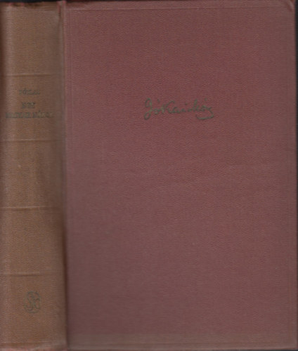 J�kai M�r - Egy magyar n�bob - Illusztr�lt kiad�s  (Reich K�roly rajzaival! )